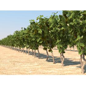 3D Six Amusement Park Games Collection